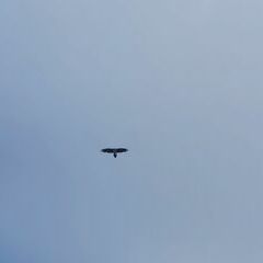 unverortetes Flugbild